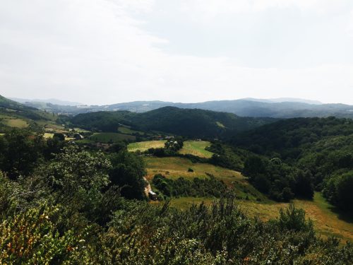 El Camino De Santiago || Week One - I'm Mary Katherine